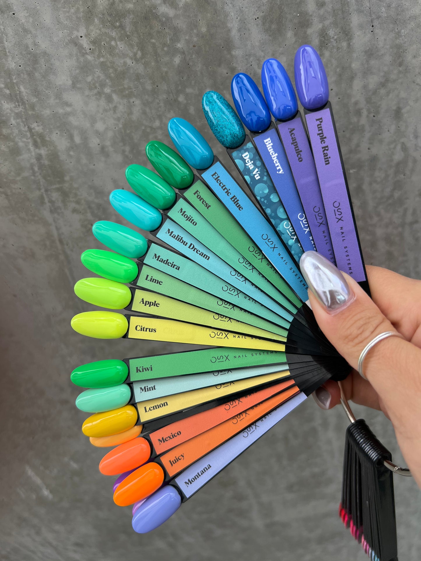 Palette color stickers set