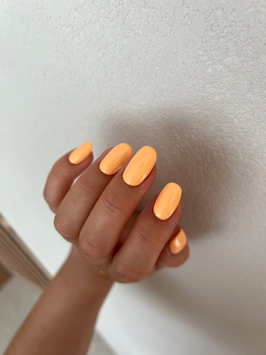 Honey Love - Gelinis lakas 8ml (Be TPO)