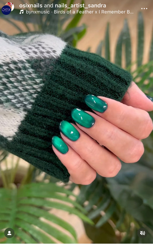 Pearl Cat Eye - Gelinis lakas 8ml (Be TPO)